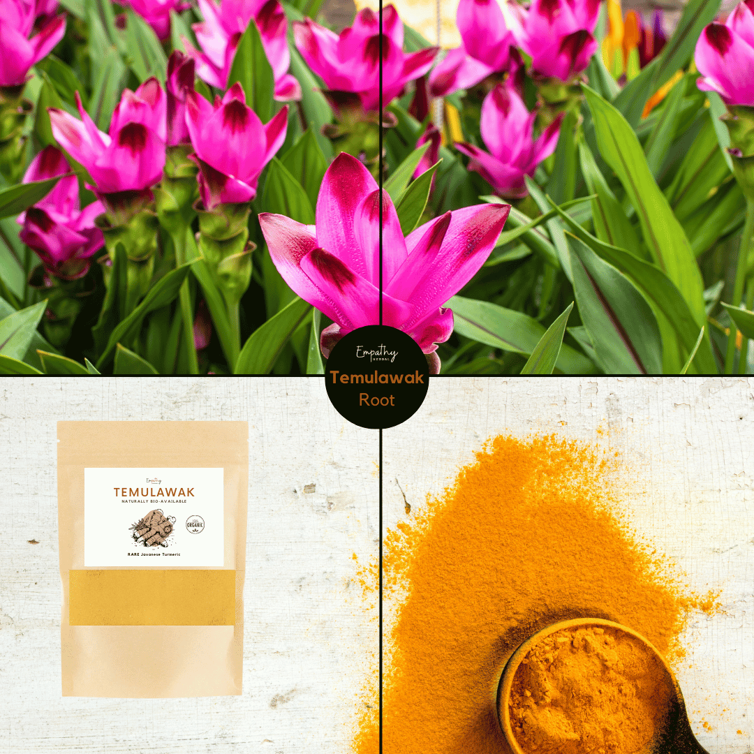 Anti-Inflammatory Powders - sample