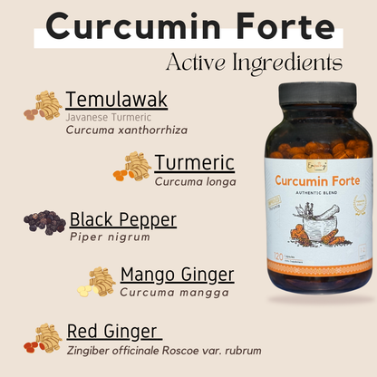 curcumin ingredients