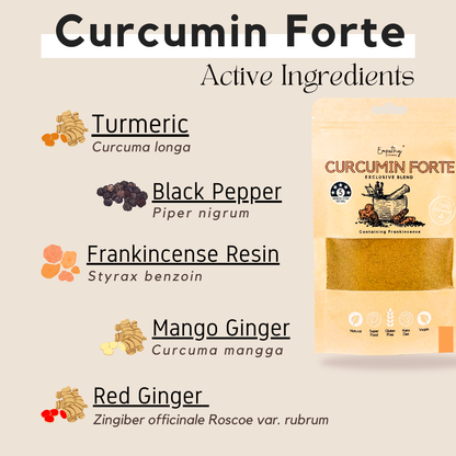 curcumin powder ingredients