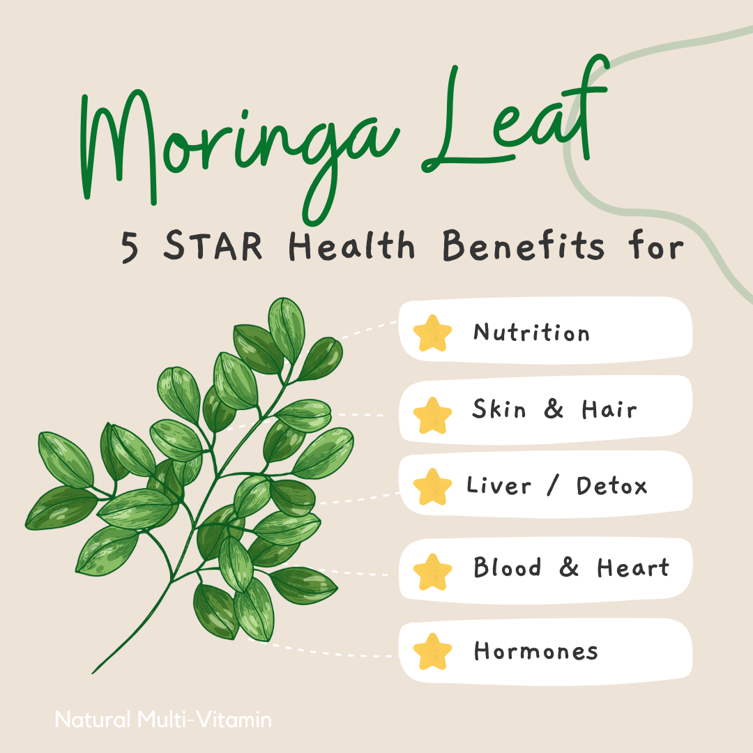 moringa benefits