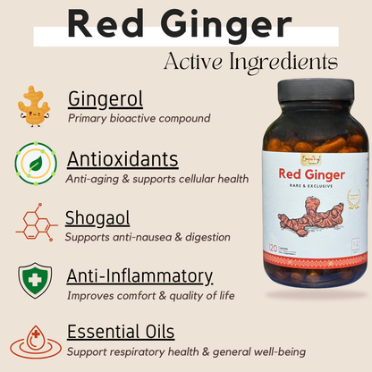 red ginger capsules ingredients