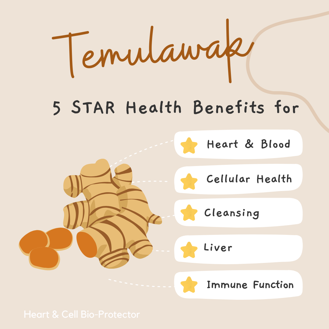 Temulawak benefits