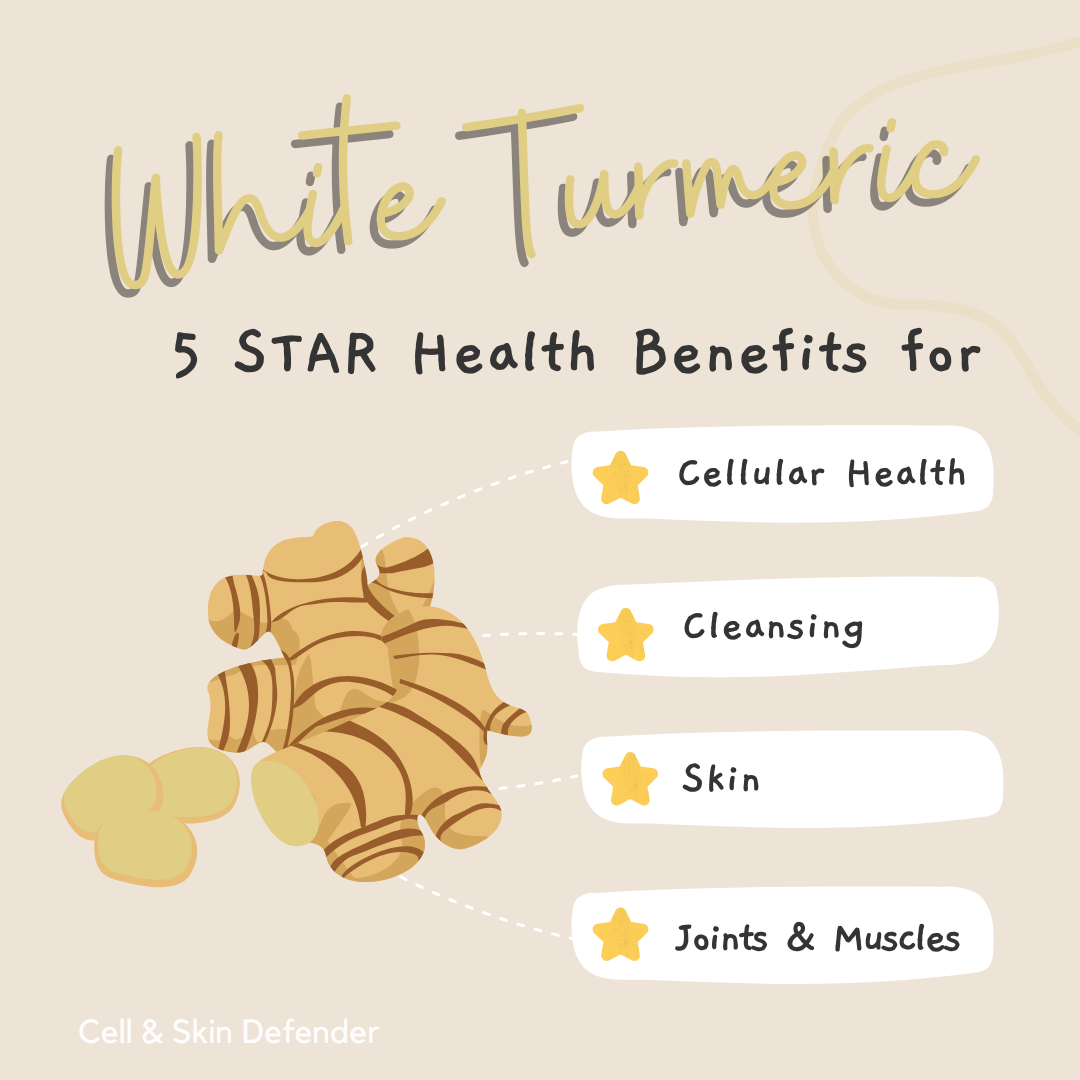 white turmeric benefits