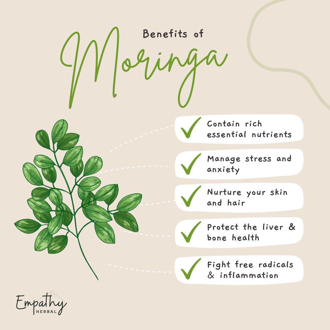 Moringa Tea