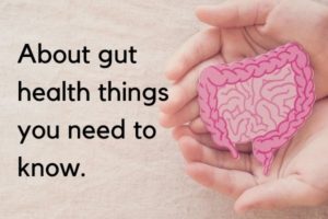 Gut health cover