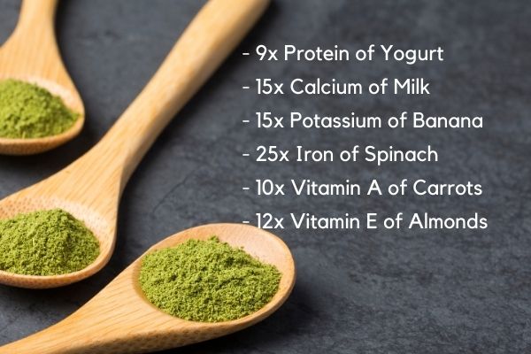 10 Science-based Health Benefits of Moringa Leaf Powder -