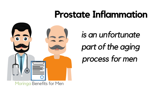 Moringa Benefits for Prostate Inflammation