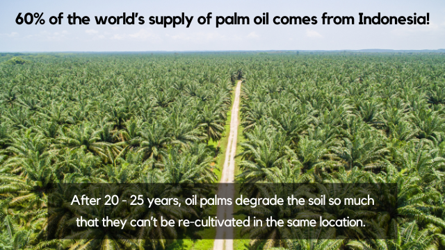 Palm oil from Indonesia
