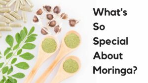 Moringa Benefits what's so SPECIAL